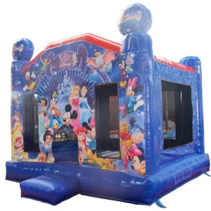 Dinsey Inflatable House