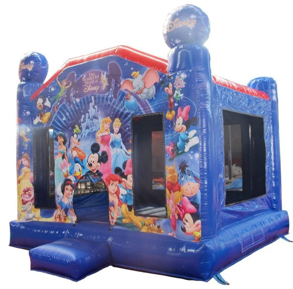 DisneyBouncyCastle_1024x1024@2x